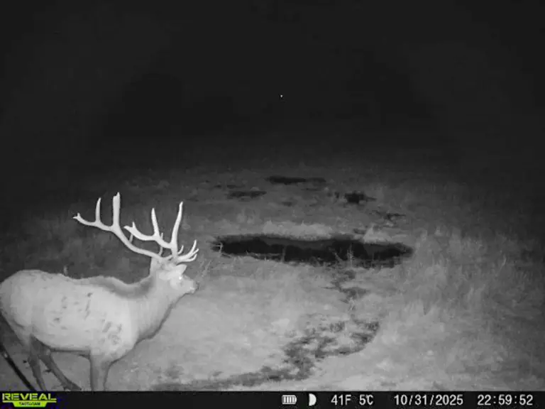 29_f1a91784-ea29-4d70-a361-9cef0bf21fe7