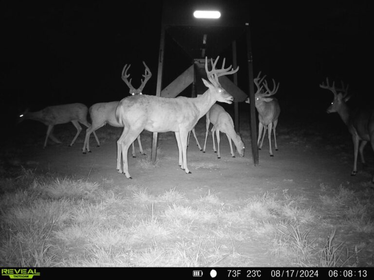 29_f533b8f2-1d02-46a8-9c32-def3b395f543