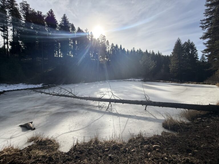 30_60b33e74-d2b9-424e-9301-e93d2d15e89a