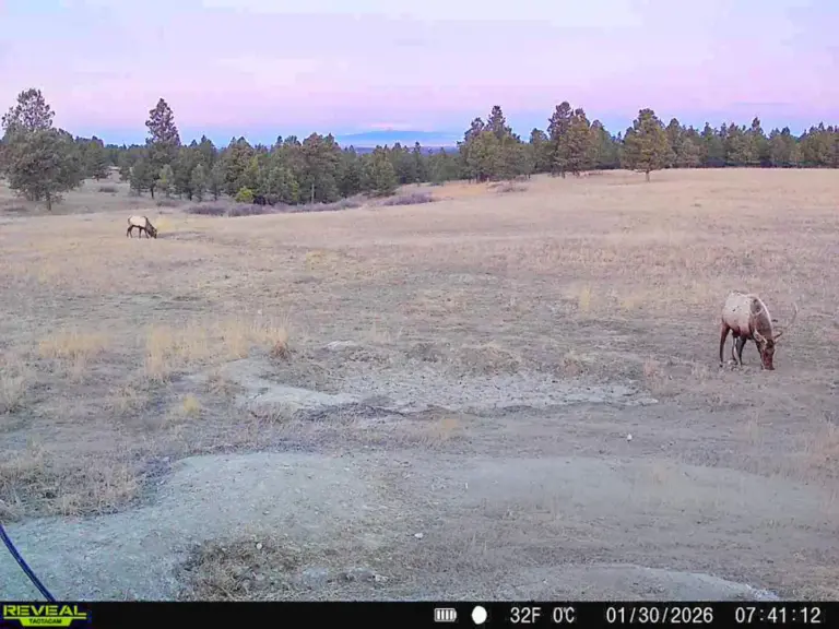 30_ff818a2f-76df-4ed7-802b-c7d4aa8ae4a6