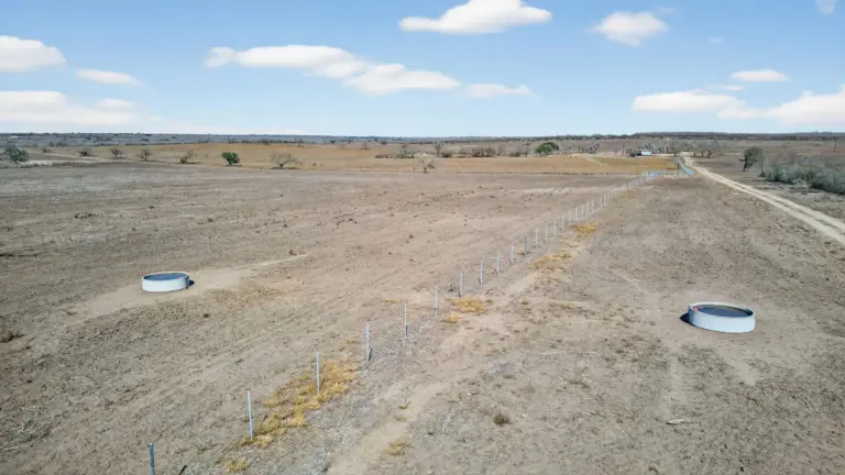 31_225a35e9-7ad0-4800-b44f-02a064af7b3f