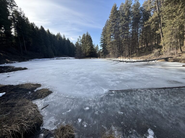 31_4322841c-abf9-42b5-9d55-4a74cf4b2e45