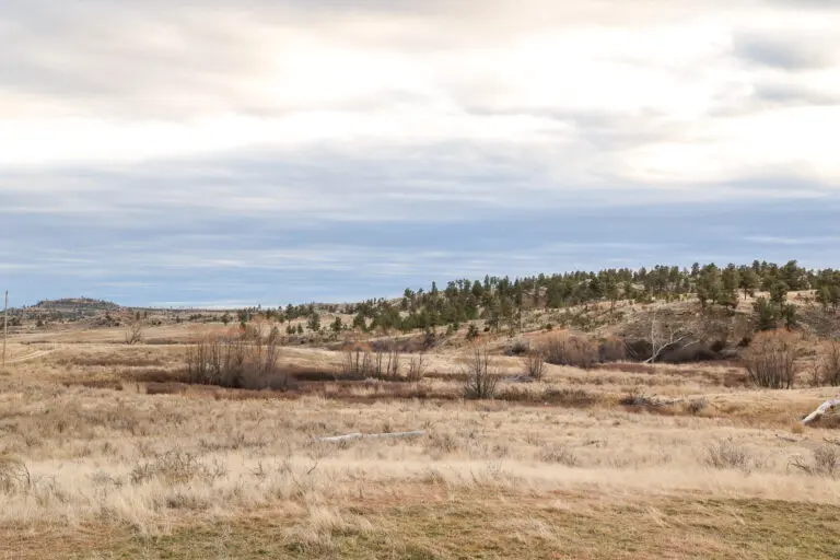 31_7ab45bcf-ff9a-4e10-895a-c3430537da0e