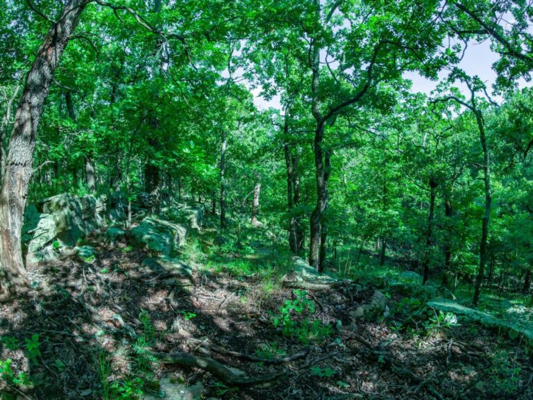 1_1.810480_10296.659_10296.659_3993.293_2978.810_-0.286_0.665_89.968_0.000000_0.000000_0.000000_0.59763819_-4.10456848_9.37404442_0.00000000_0.00000000_8064_6048_89_197632 0.000977_-0.001953_-0.015625_0.024501_0.005326_-0.001065 (1_1.810480_10296.659_