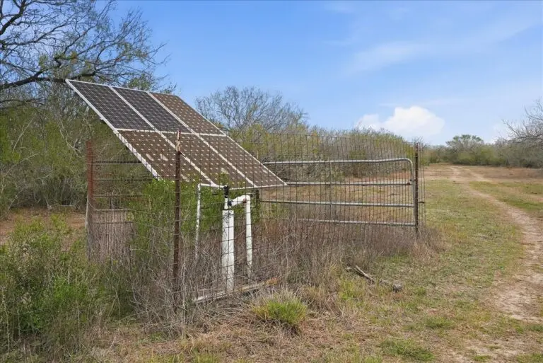 31_d44e0120-b9f2-4a76-9d85-95cbf10b6fd1