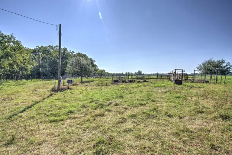 32_21713e78-67fe-45f2-95b8-4d5dcae3f1e2