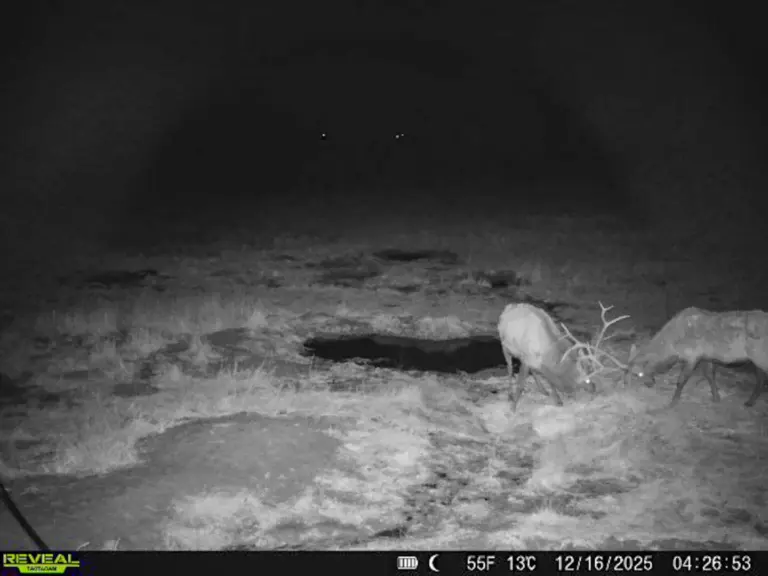 32_7fa6a73e-347f-471a-acd5-b57f32f50e57