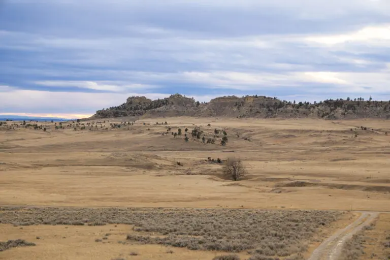 32_b6aefff9-ee5f-4918-bba6-36a6340a5397