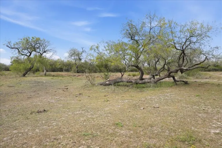 32_c3eacfd6-0af6-4206-aa4f-19280e3f4e9a