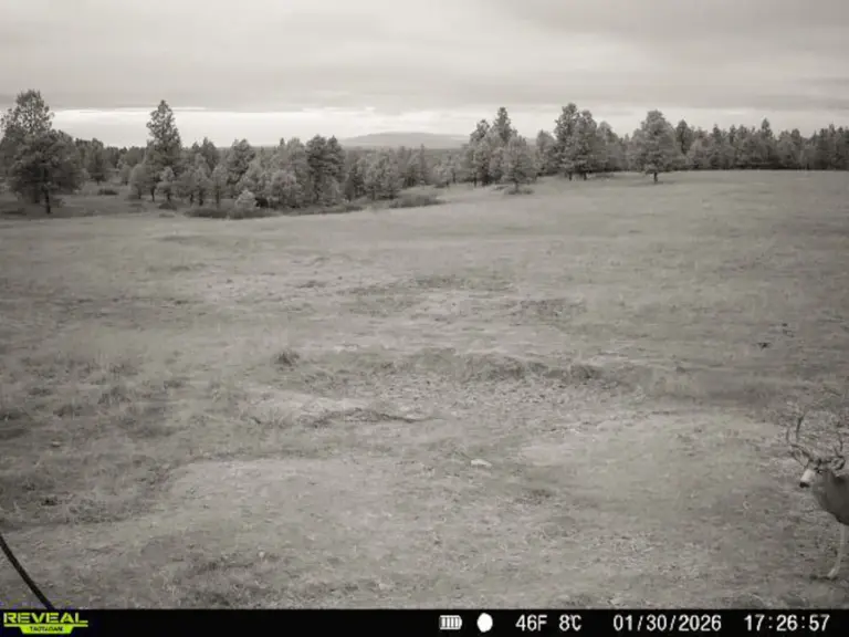 33_555480e8-1481-427f-a743-16c43e365c42