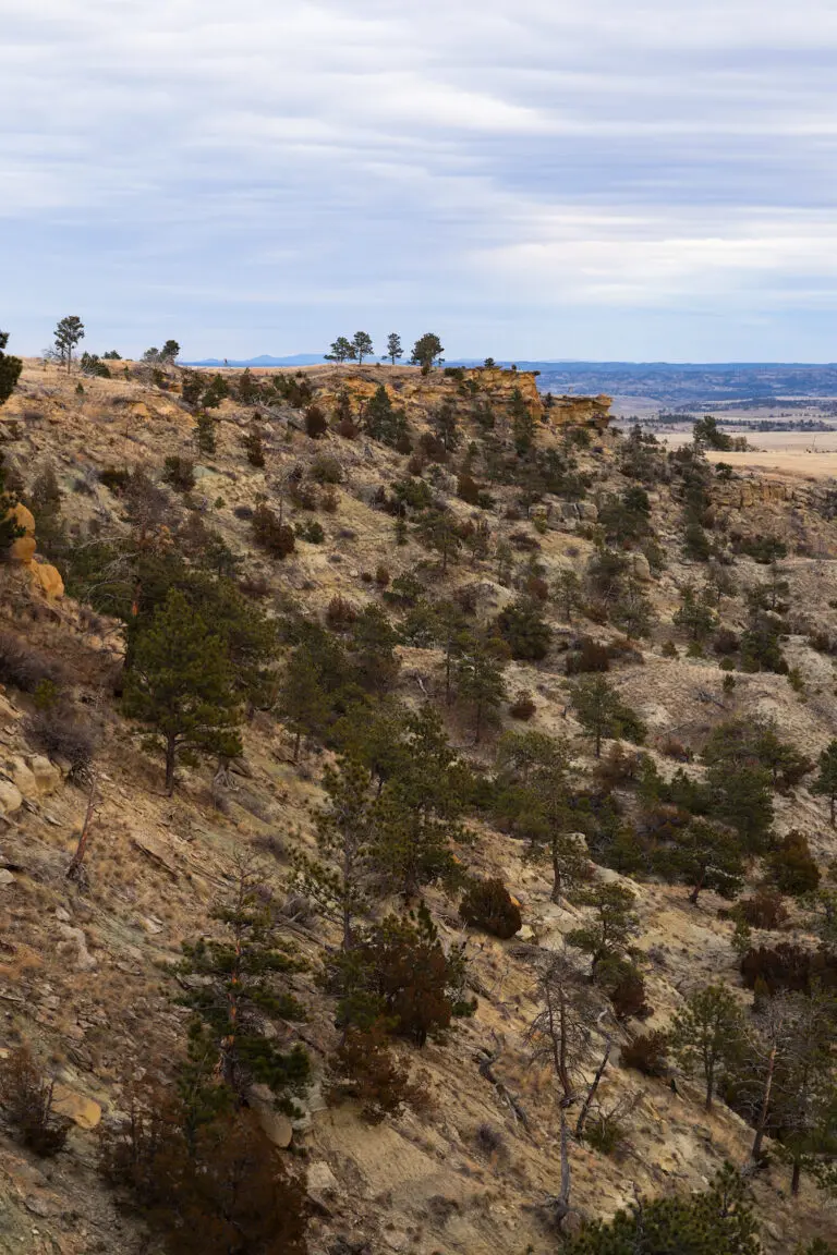 33_71024384-c773-40cb-8a74-d28689aa2523