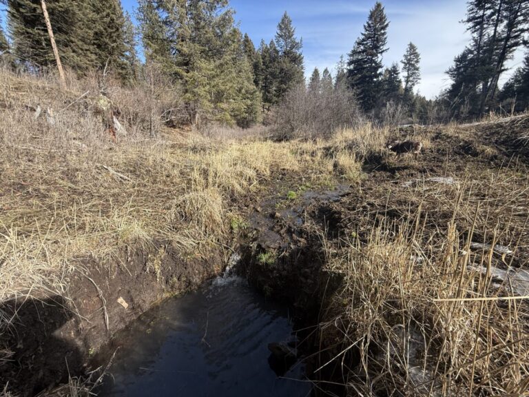 33_c8776526-1019-45db-b6c7-bd5582f0cf9e