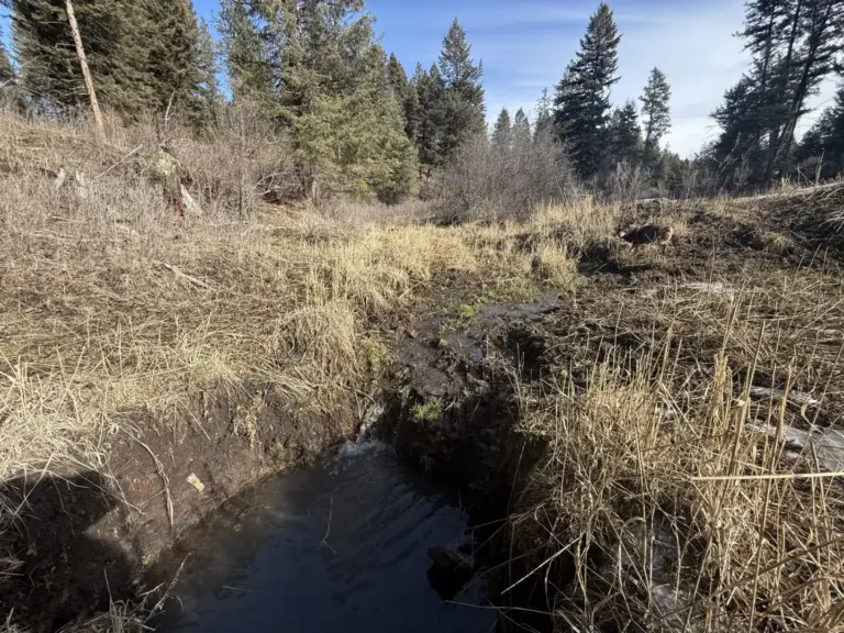 33_c8776526-1019-45db-b6c7-bd5582f0cf9e