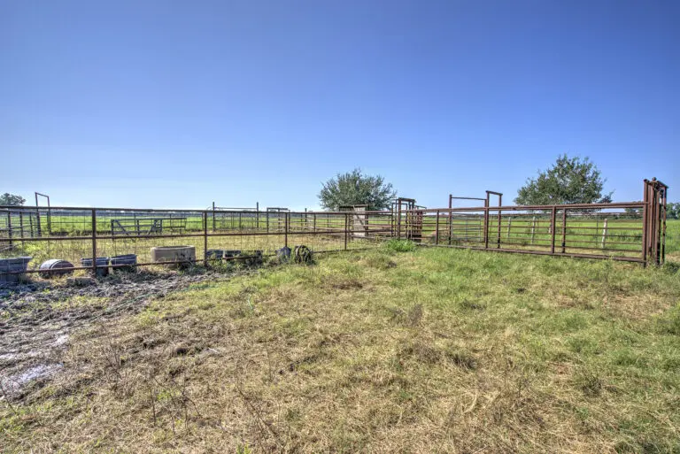 34_092d657e-88b3-403c-8158-acd6a15c4503