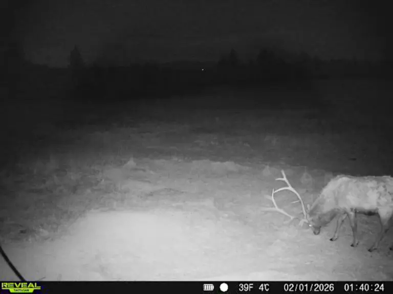 34_b69d6111-5f5c-423f-bddc-966bd368be01