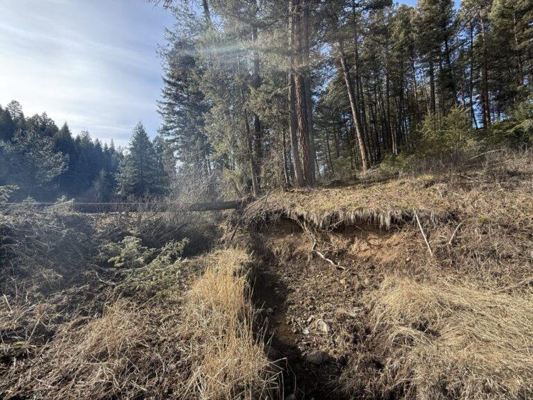 34_be54e910-1046-4f87-a44d-f2b604b6c49f