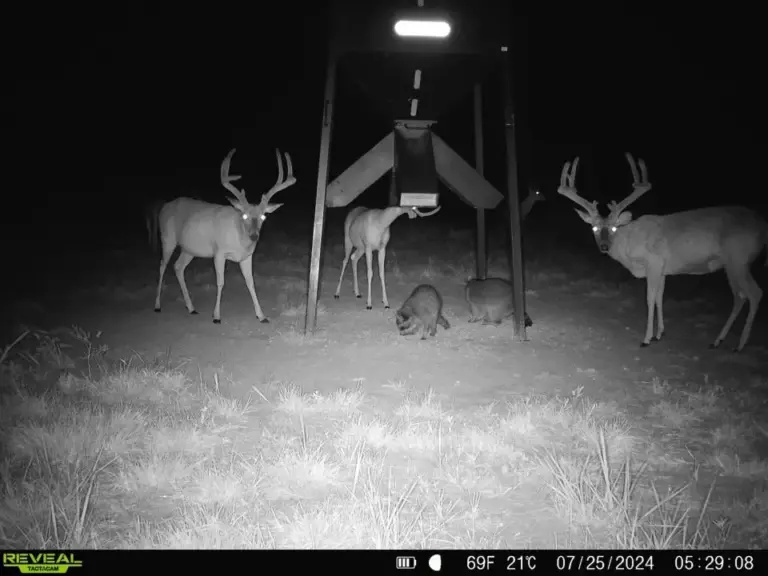 34_bf71b6c7-23a5-4ae9-badf-1f42c30f386a