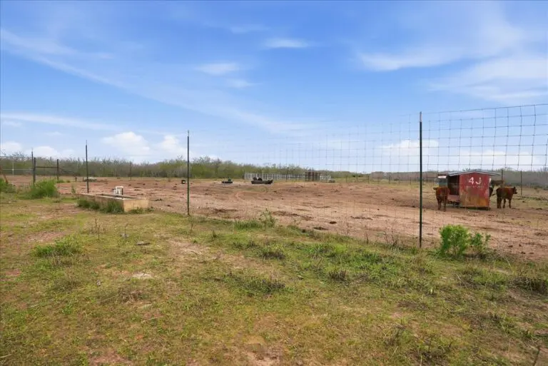 35_c48cfaba-16fd-4516-889f-055933ab1ade