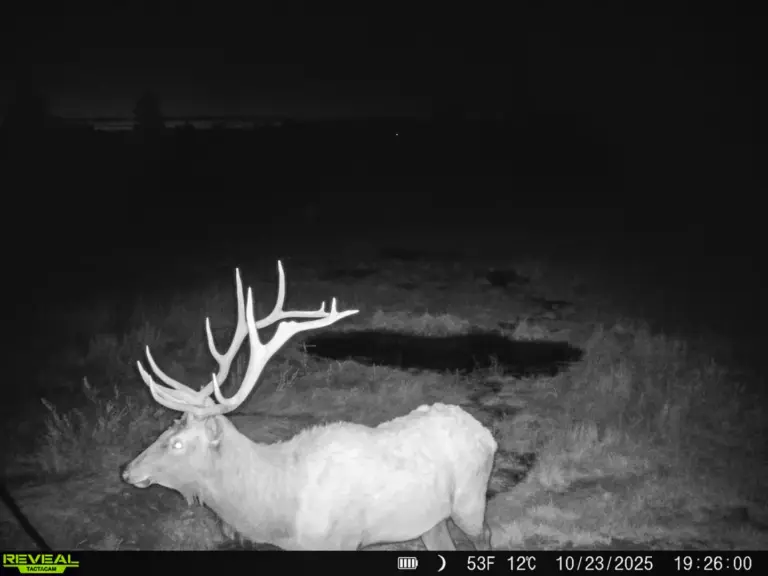 35_d8a405ac-9c88-4ead-ae05-4d893591588e