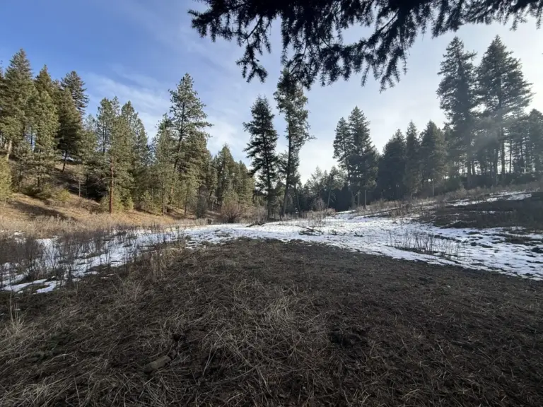 36_379f7d09-c1f4-4d9d-8b7c-ffb1d89b8175