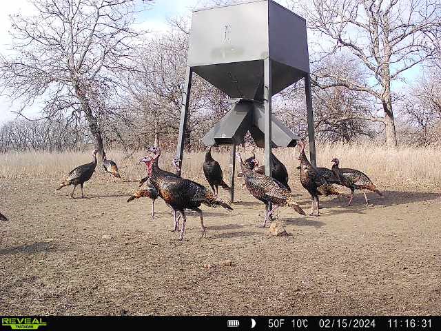 36_6c7c6634-bdb0-4f47-b54f-e939e3cb87fb