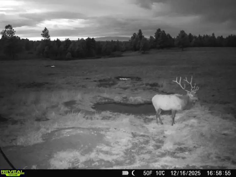 36_a6f70548-809c-41cc-9802-2ef001cce02c