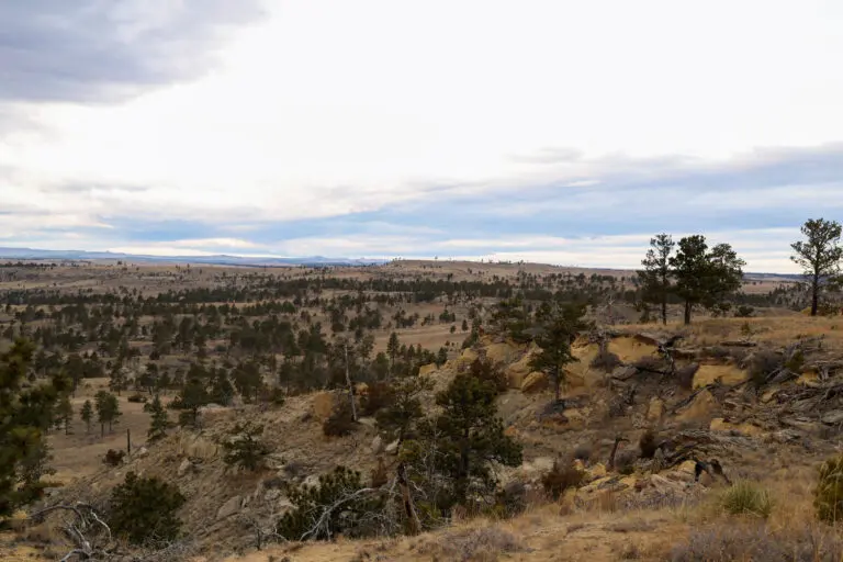 36_b3508fb8-1f00-4914-ae7e-20936a03941f