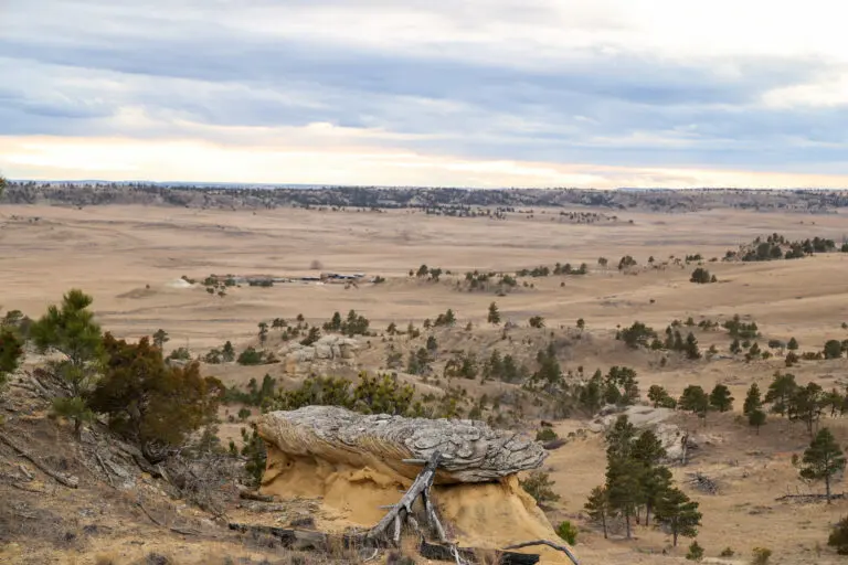 37_5c1d4787-43c7-4958-a7e5-44fee67053d3