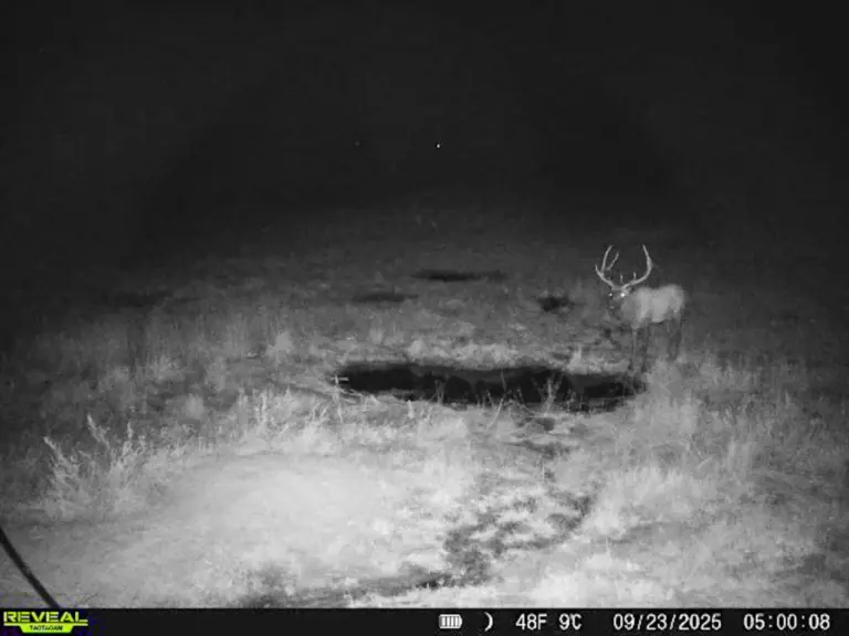 37_d8ad5e5d-b912-44fd-8753-d77f9fcb7be2