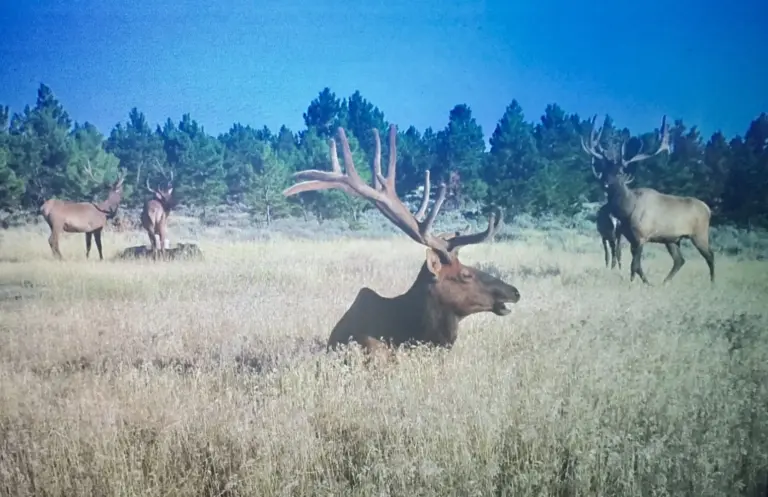 38_75ac7e20-2c81-4965-b6d8-d3fb3af52934