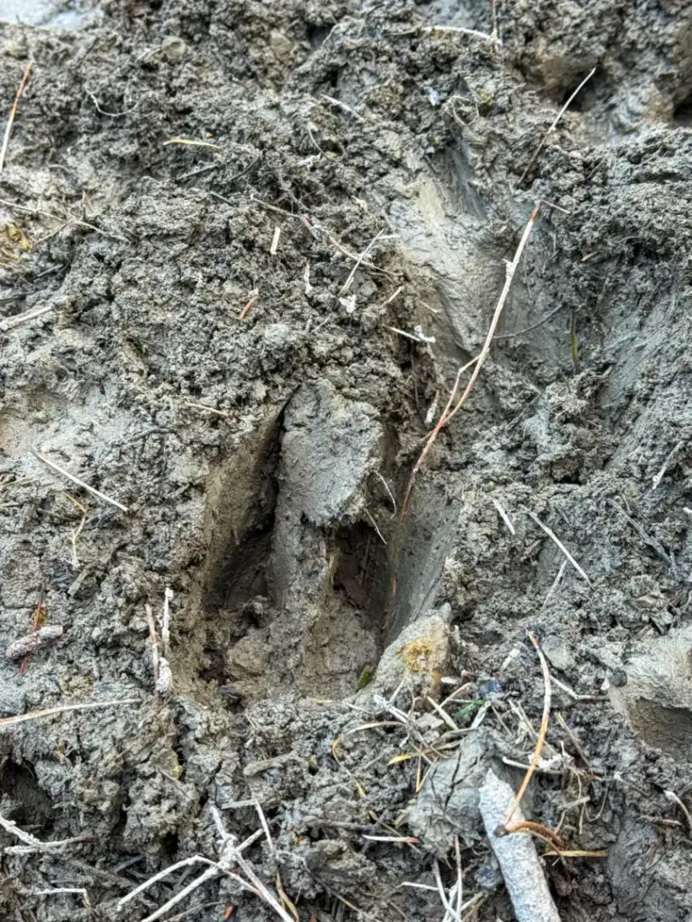 38_80488b78-bbcd-411e-9825-747935c45313