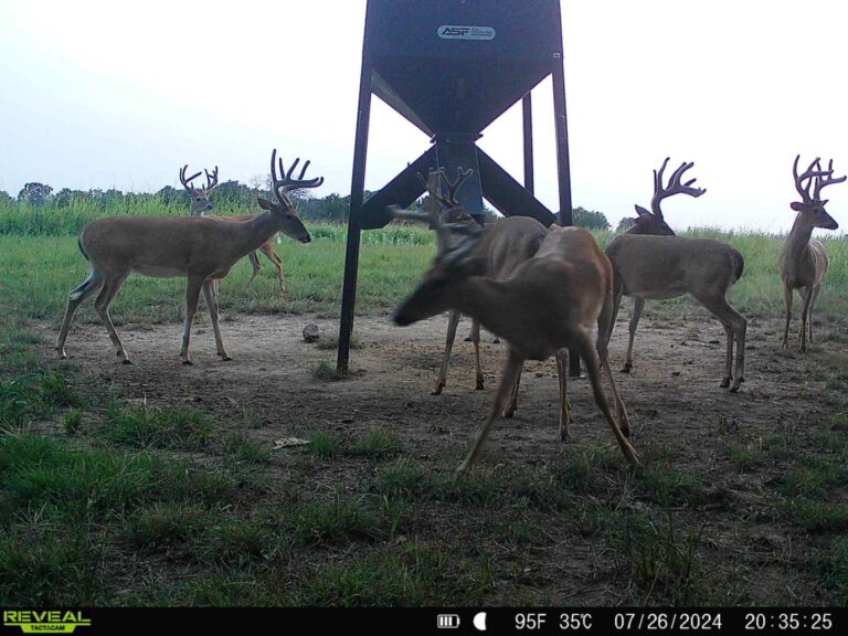 38_928c93ce-ea62-4f1b-9517-8012c77ae6f7