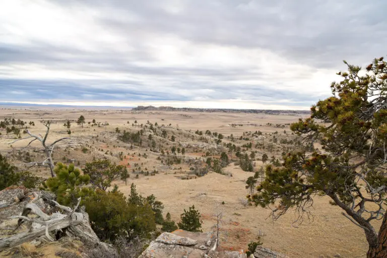 38_c274bcfd-148d-45f8-91ec-7d4aece66aa6