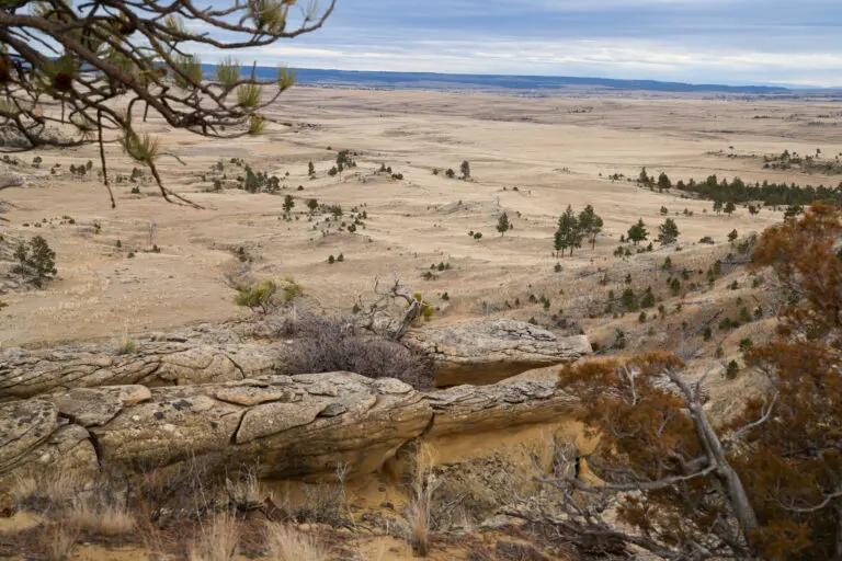 39_03a27c0f-85f3-4eba-984d-bf58d17fdf6e