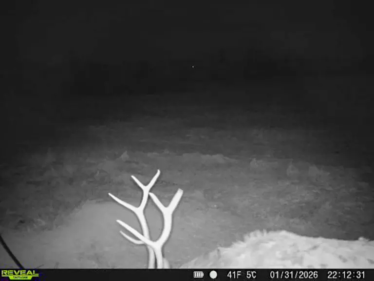 39_b3d1c8f3-8a07-4f7e-a5f4-b4c91349d46d