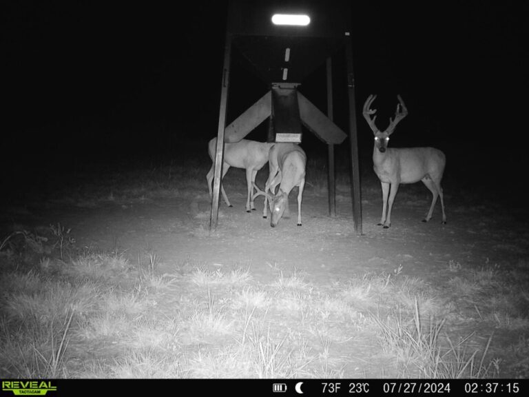 40_5a7aecee-10b1-415f-bb6c-dc2a5614ac48