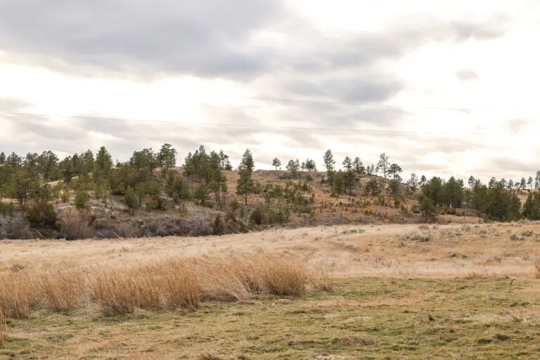 40_fab24a71-6b8d-4ee3-80cb-bdd7790fafe3