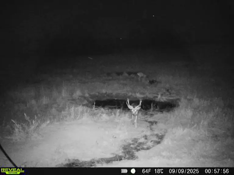 40_fd21bd0c-5fdd-4bc7-b2a2-0cd5117a4d38