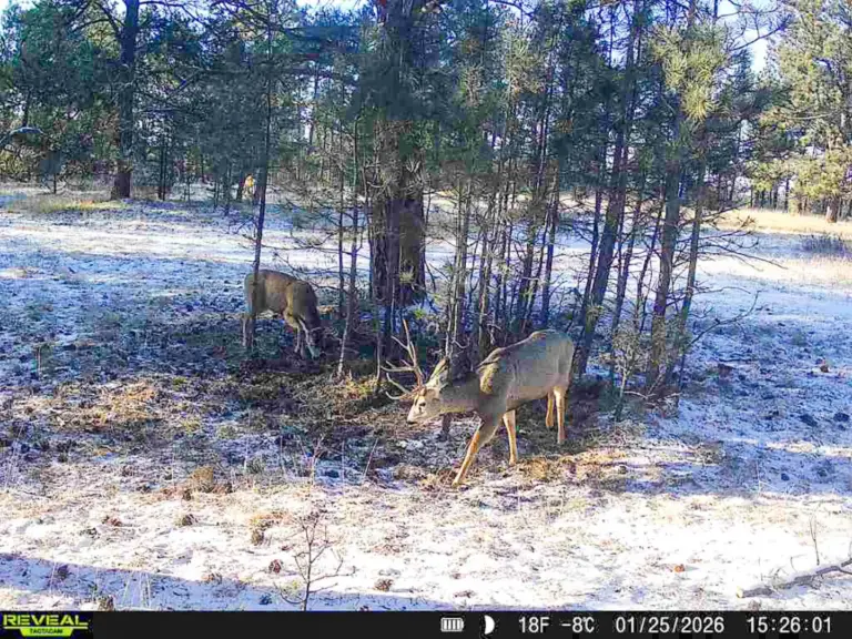 41_40050227-d5e8-4397-8559-9906cc99e032