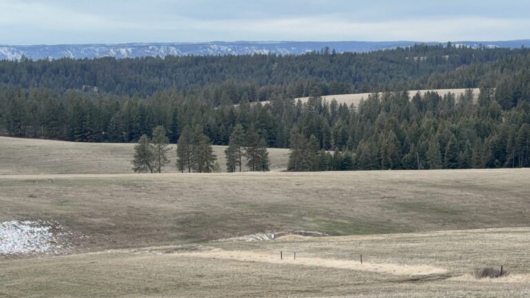 42_b10d7dfa-dbdd-4317-bb78-5fdc2a22fde1