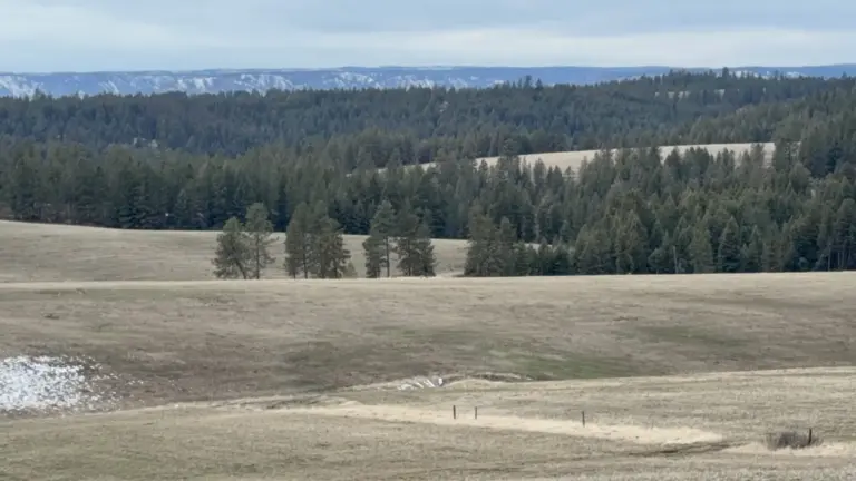 42_b10d7dfa-dbdd-4317-bb78-5fdc2a22fde1