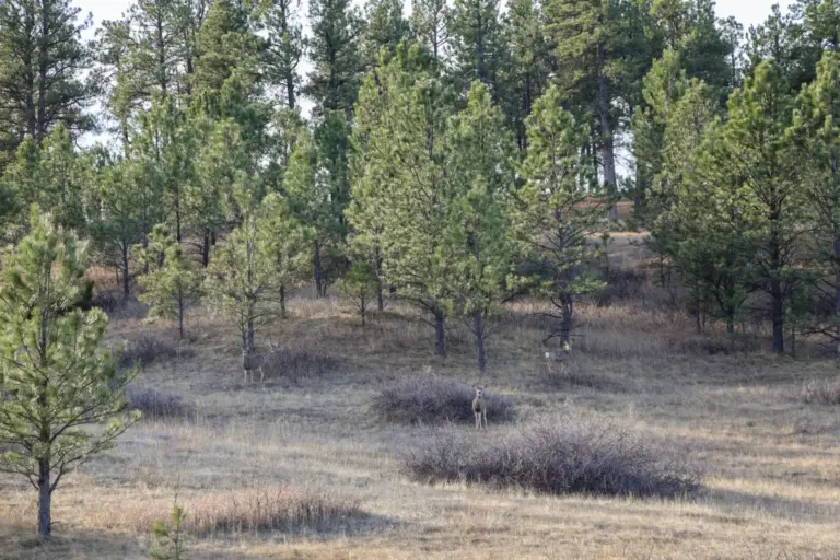 42_e251b354-2ee7-408b-8f04-32b4502c099d