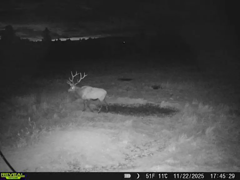 43_0b3bab77-b966-41cb-b7a5-1979e337f6ca