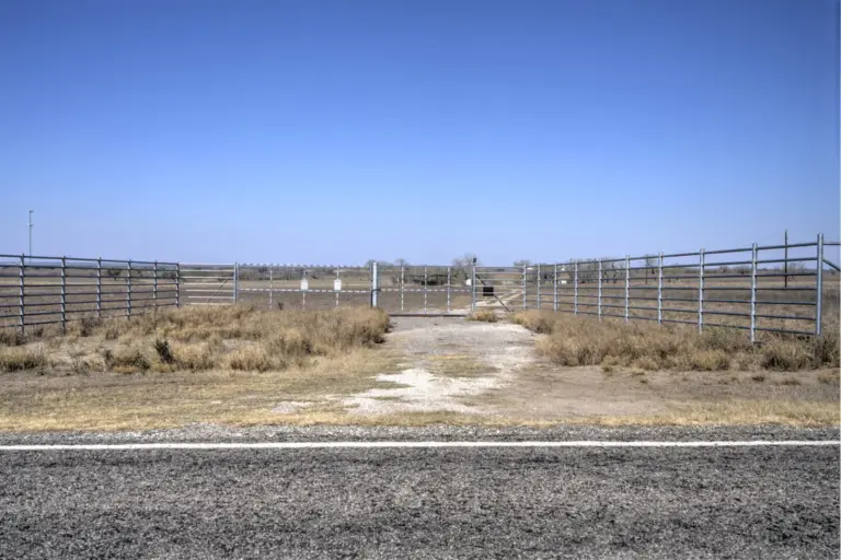 44_90878d4f-05e4-4c6c-afcb-1bffd978f779