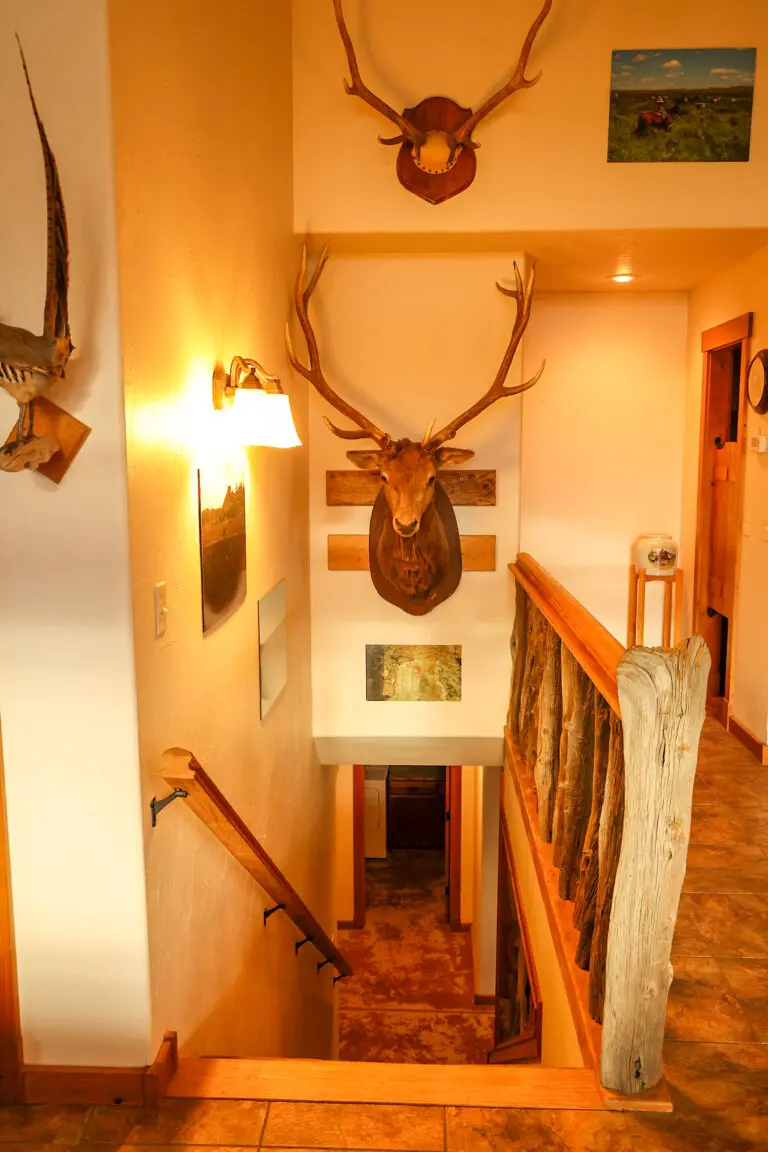 44_c1c10eb8-1b11-4b1d-99be-ab7dba478af2