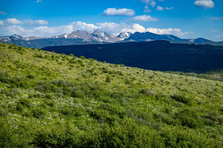 44_f4718c46-8dc5-46d1-ab44-97990f69e007