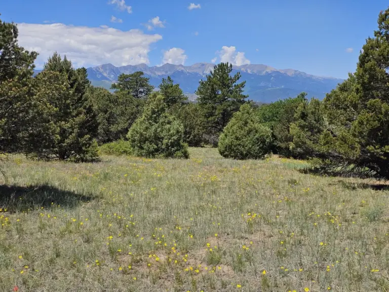 45_027830a3-ad0c-49a0-9069-6030efc49f66