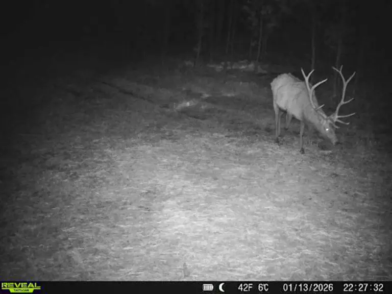 45_f012062c-b33c-4605-a066-0d3cdb4d718c