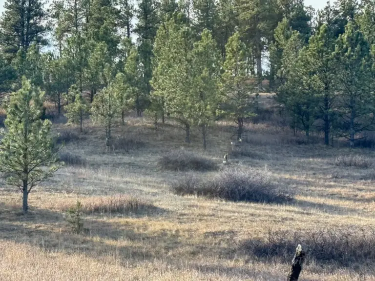 48_482035c6-27f8-447d-b176-2bea12a2d24b