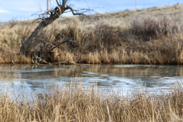 49_48704ecc-9aff-4476-b875-a04ab3e9942e